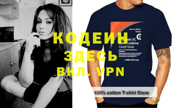 сатива Арсеньев