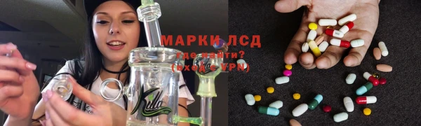 сатива Арсеньев