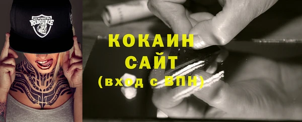 сатива Арсеньев