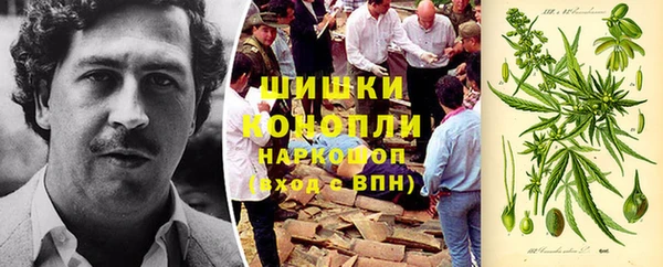 сатива Арсеньев