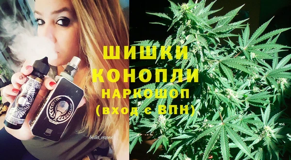 сатива Арсеньев