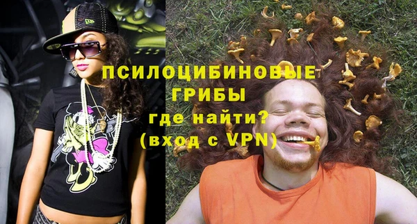 сатива Арсеньев